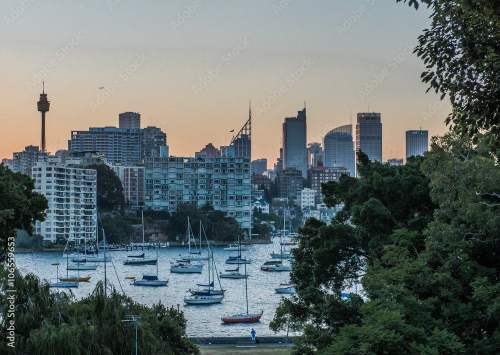 The Rushcutters